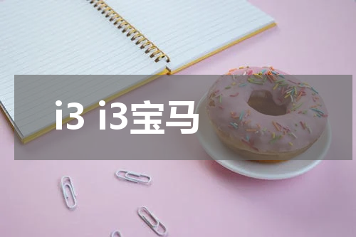 i3 i3宝马
