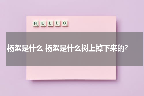 杨絮是什么 杨絮是什么树上掉下来的?