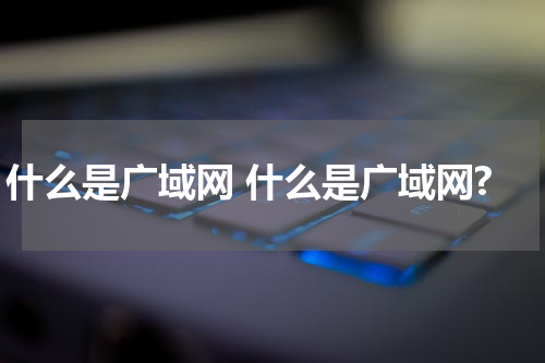 什么是广域网 什么是广域网?