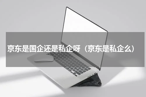 京东是国企还是私企呀（京东是私企么）