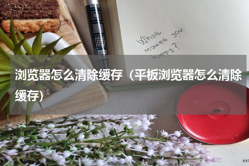 浏览器怎么清除缓存（平板浏览器怎么清除缓存）