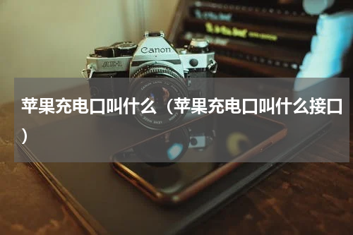 苹果充电口叫什么（苹果充电口叫什么接口）