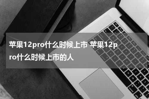 苹果12pro什么时候上市 苹果12pro什么时候上市的人