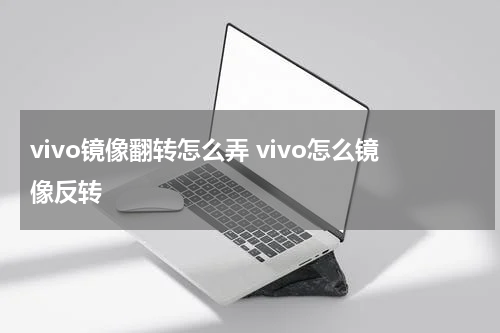 vivo镜像翻转怎么弄 vivo怎么镜像反转