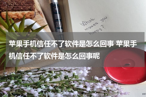 苹果手机信任不了软件是怎么回事 苹果手机信任不了软件是怎么回事呢
