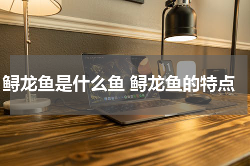 鲟龙鱼是什么鱼 鲟龙鱼的特点