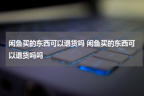 闲鱼买的东西可以退货吗 闲鱼买的东西可以退货吗吗