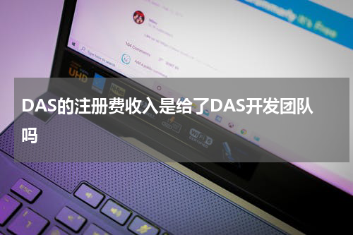DAS的注册费收入是给了DAS开发团队吗