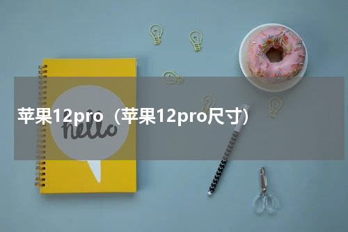 苹果12pro（苹果12pro尺寸）