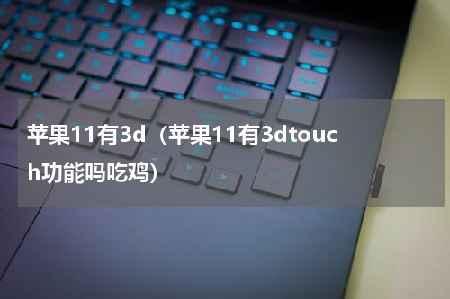 苹果11有3d（苹果11有3dtouch功能吗吃鸡）