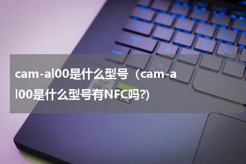 cam-al00是什么型号（cam-al00是什么型号有NFC吗?）