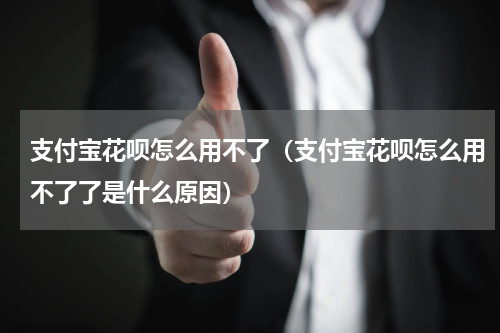 支付宝花呗怎么用不了（支付宝花呗怎么用不了了是什么原因）