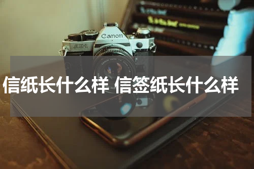 信纸长什么样 信签纸长什么样