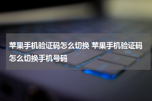 苹果手机验证码怎么切换 苹果手机验证码怎么切换手机号码