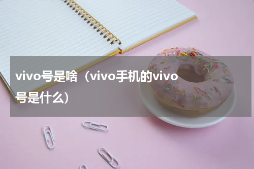 vivo号是啥（vivo手机的vivo号是什么）