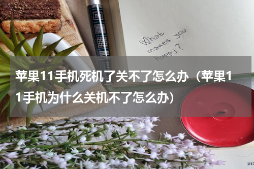 苹果11手机死机了关不了怎么办（苹果11手机为什么关机不了怎么办）
