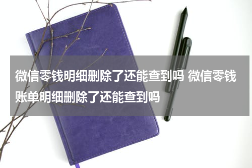 微信零钱明细删除了还能查到吗 微信零钱账单明细删除了还能查到吗