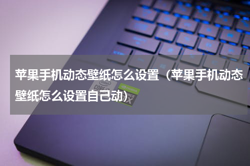 苹果手机动态壁纸怎么设置（苹果手机动态壁纸怎么设置自己动）