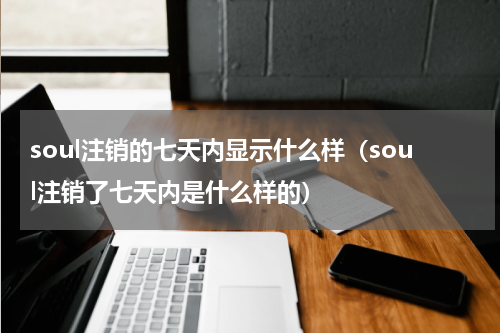 soul注销的七天内显示什么样（soul注销了七天内是什么样的）