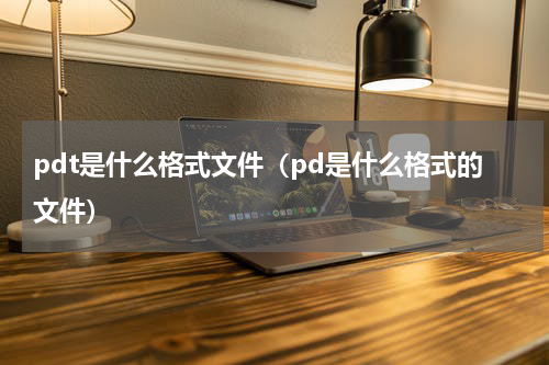pdt是什么格式文件（pd是什么格式的文件）