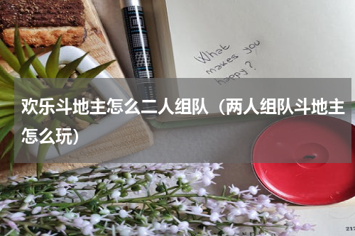 欢乐斗地主怎么二人组队（两人组队斗地主怎么玩）