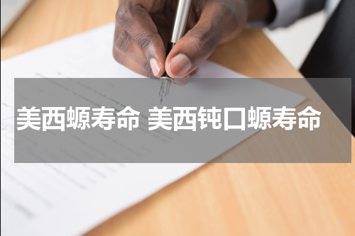 美西螈寿命 美西钝口螈寿命