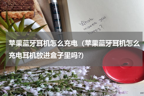 苹果蓝牙耳机怎么充电（苹果蓝牙耳机怎么充电耳机放进盒子里吗?）