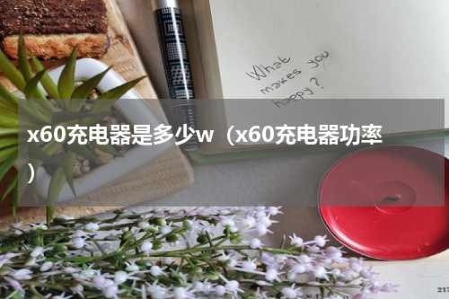 x60充电器是多少w（x60充电器功率）
