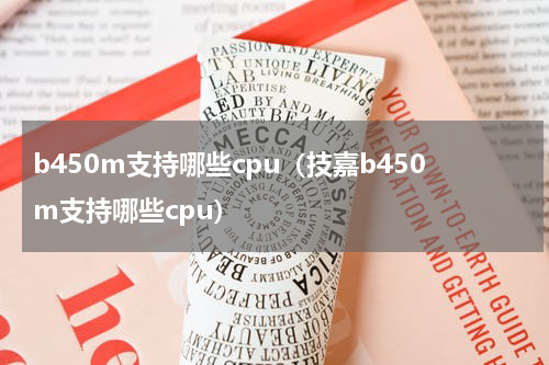 b450m支持哪些cpu（技嘉b450m支持哪些cpu）