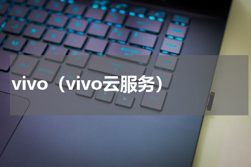 vivo（vivo云服务）