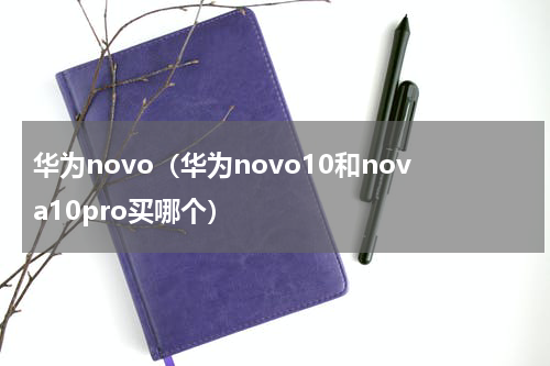 华为novo（华为novo10和nova10pro买哪个）