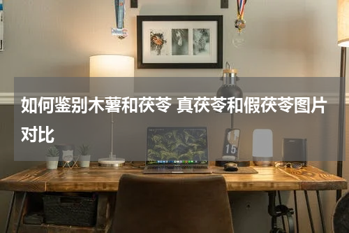 如何鉴别木薯和茯苓 真茯苓和假茯苓图片对比