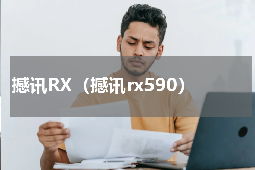 撼讯RX（撼讯rx590）