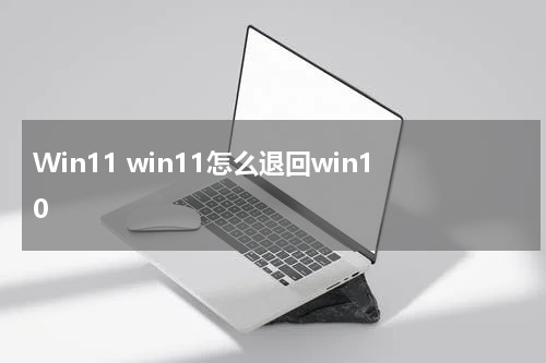 Win11 win11怎么退回win10