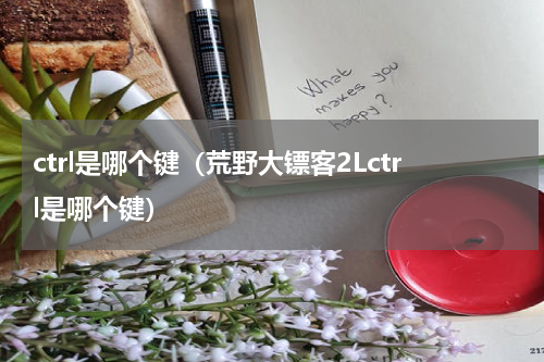 ctrl是哪个键（荒野大镖客2Lctrl是哪个键）