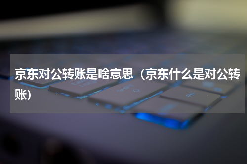 京东对公转账是啥意思（京东什么是对公转账）
