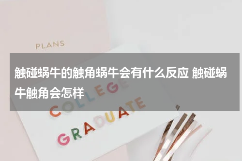触碰蜗牛的触角蜗牛会有什么反应 触碰蜗牛触角会怎样