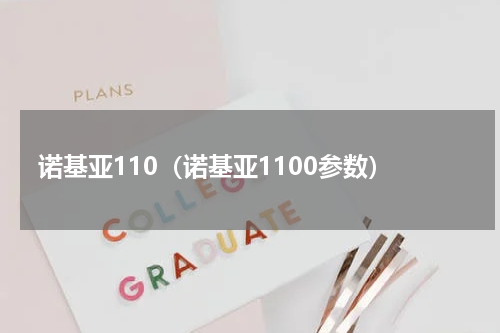 诺基亚110（诺基亚1100参数）