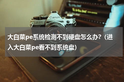 大白菜pe系统检测不到硬盘怎么办?（进入大白菜pe看不到系统盘）