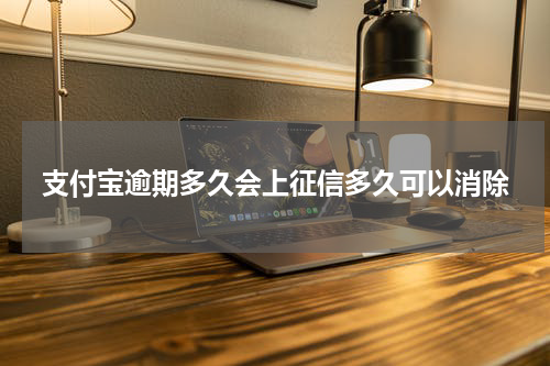 支付宝逾期多久会上征信多久可以消除