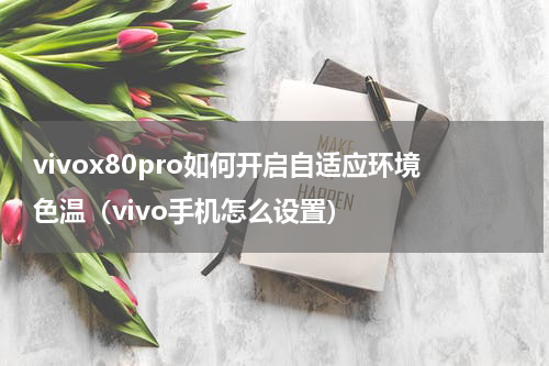 vivox80pro如何开启自适应环境色温（vivo手机怎么设置）