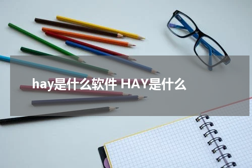 hay是什么软件 HAY是什么
