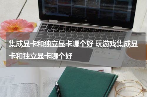集成显卡和独立显卡哪个好 玩游戏集成显卡和独立显卡哪个好