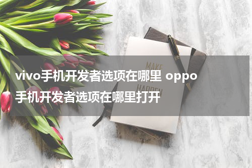 vivo手机开发者选项在哪里 oppo手机开发者选项在哪里打开