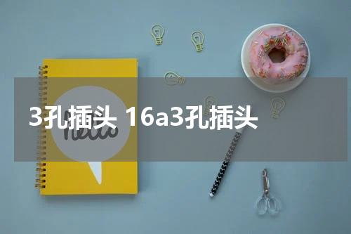 3孔插头 16a3孔插头
