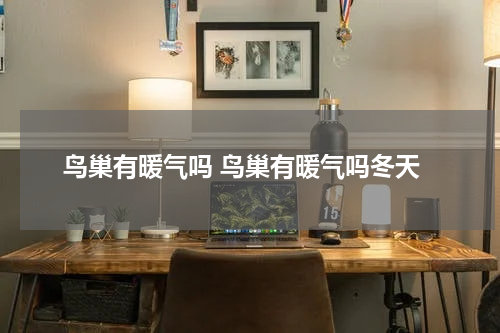 鸟巢有暖气吗 鸟巢有暖气吗冬天