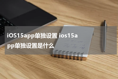 iOS15app单独设置 ios15app单独设置是什么
