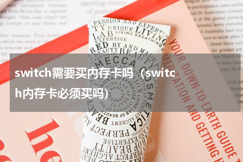 switch需要买内存卡吗（switch内存卡必须买吗）