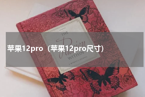 苹果12pro（苹果12pro尺寸）