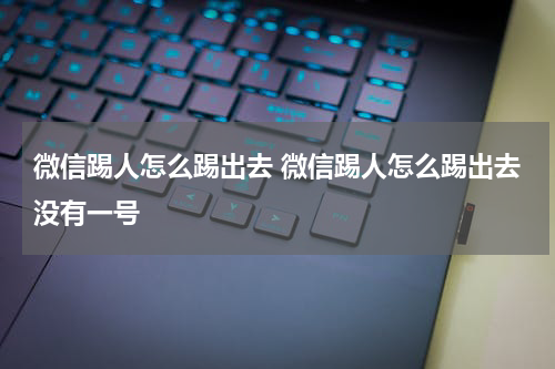 微信踢人怎么踢出去 微信踢人怎么踢出去没有一号